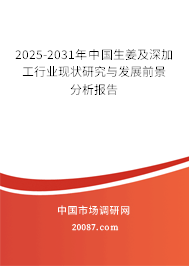 2025-2031年中国生姜及深加工行业现状研究与发展前景分析报告 2025-2031年中国生姜及深加工行业现状研究与发展前景分析报告