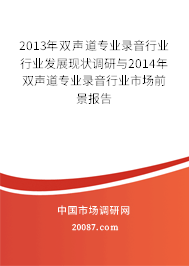 2013年双声道专业录音行业行业发展现状调研与2014年双声道专业录音行业市场前景报告