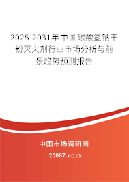 2025-2031年中国碳酸氢钠干粉灭火剂行业市场分析与前景趋势预测报告