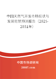 中国天然气开发市场现状与发展前景预测报告（2025-2031年）