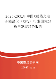 2025-2031年中国X射线光电子能谱仪（XPS）行业研究分析与发展趋势报告