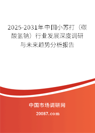 2025-2031年中国小苏打（碳酸氢钠）行业发展深度调研与未来趋势分析报告