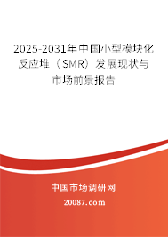 2025-2031年中国小型模块化反应堆（SMR）发展现状与市场前景报告