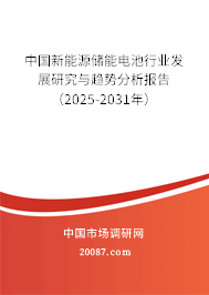 中国新能源储能电池行业发展研究与趋势分析报告（2025-2031年）