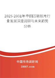 2025-2031年中国压敏胶片行业发展深度调研与未来趋势分析