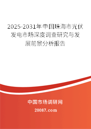 2025-2031年中国珠海市光伏发电市场深度调查研究与发展前景分析报告