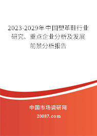 2023-2029年中国塑革鞋行业研究、重点企业分析及发展前景分析报告