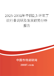 2025-2031年中国2,3-环氧丁烷行业调研及发展趋势分析报告