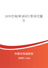 3MM白玻项目可行性研究报告 3MM白玻项目可行性研究报告