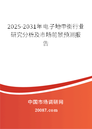 2025-2031年电子地中衡行业研究分析及市场前景预测报告