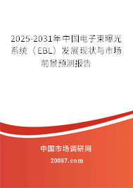 2025-2031年中国电子束曝光系统(EBL)发展现状与市场前景预测报告 2025-2031年中国电子束曝光系统(EBL)发展现状与市场前景预测报告