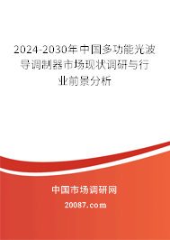 2024-2030年中国多功能光波导调制器市场现状调研与行业前景分析