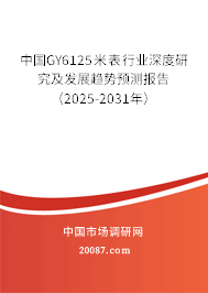 中国GY6125米表行业深度研究及发展趋势预测报告(2025-2031年) 中国GY6125米表行业深度研究及发展趋势预测报告(2025-2031年)