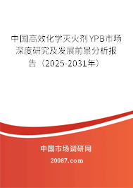 中国高效化学灭火剂YPB市场深度研究及发展前景分析报告（2025-2031年）