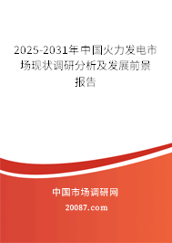 2025-2031年中国火力发电市场现状调研分析及发展前景报告