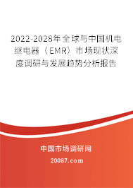 2022-2028年全球与中国机电继电器（EMR）市场现状深度调研与发展趋势分析报告