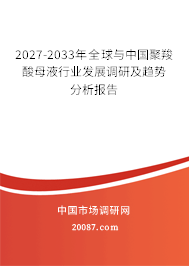 2027-2033年全球与中国聚羧酸母液行业发展调研及趋势分析报告