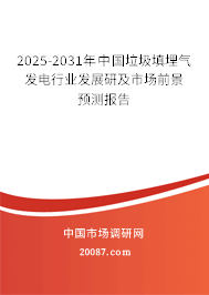 2025-2031年中国垃圾填埋气发电行业发展研及市场前景预测报告
