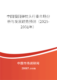 中国慢回弹枕头行业市场分析与发展趋势预测（2024-2030年）