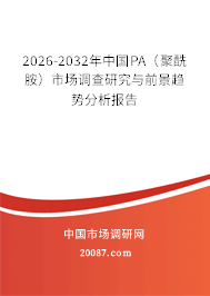 2026-2032年中国PA（聚酰胺）市场调查研究与前景趋势分析报告