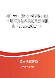 中国PVB（聚乙烯醇缩丁醛）市场研究与发展前景预测报告（2025-2031年）