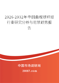 2026-2032年中国曲棍球杆蜡行业研究分析与前景趋势报告 2026-2032年中国曲棍球杆蜡行业研究分析与前景趋势报告
