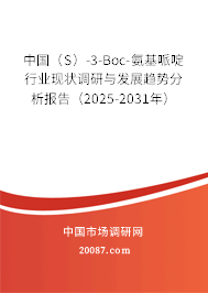 中国（S）-3-Boc-氨基哌啶行业现状调研与发展趋势分析报告（2025-2031年）