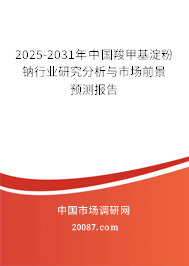 2025-2031年中国羧甲基淀粉钠行业研究分析与市场前景预测报告