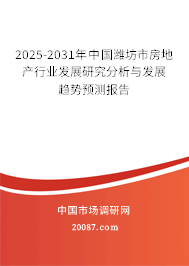 2025-2031年中国潍坊市房地产行业发展研究分析与发展趋势预测报告