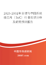 2025-2031年全球与中国系统级芯片（SoC）行业现状分析及趋势预测报告