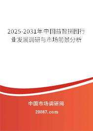 2025-2031年中国益智拼图行业发展调研与市场前景分析