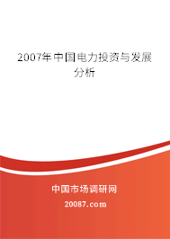 2007年中国电力投资与发展分析
