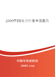 2009中国电力行业年度报告