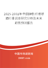 2025-2031年中国弹性纤维球拍行业调查研究分析及未来趋势预测报告
