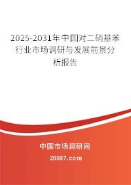 2025-2031年中国对二硝基苯行业市场调研与发展前景分析报告 2025-2031年中国对二硝基苯行业市场调研与发展前景分析报告