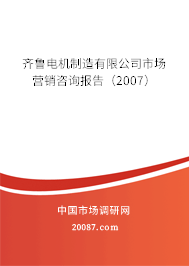 齐鲁电机制造有限公司市场营销咨询报告(2007) 齐鲁电机制造有限公司市场营销咨询报告(2007)