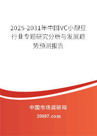 2025-2031年中国VC小靓豆行业专题研究分析与发展趋势预测报告 2025-2031年中国VC小靓豆行业专题研究分析与发展趋势预测报告