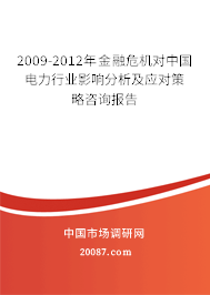 2009-2012年金融危机对中国电力行业影响分析及应对策略咨询报告 2009-2012年金融危机对中国电力行业影响分析及应对策略咨询报告