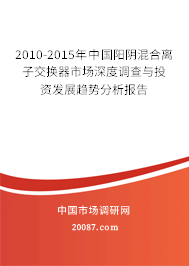 2010-2015年中国阳阴混合离子交换器市场深度调查与投资发展趋势分析报告 2010-2015年中国阳阴混合离子交换器市场深度调查与投资发展趋势分析报告