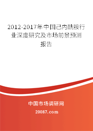 2012-2017年中国己内酰胺行业深度研究及市场前景预测报告