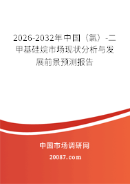 2026-2032年中国（氯）-二甲基硅烷市场现状分析与发展前景预测报告
