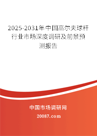 2025-2031年中国高尔夫球杆行业市场深度调研及前景预测报告