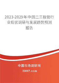 2023-2029年中国二三极管行业现状调研与发展趋势预测报告 2023-2029年中国二三极管行业现状调研与发展趋势预测报告
