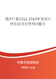 酒店行业2011-2016年发展分析及投资前景预测报告