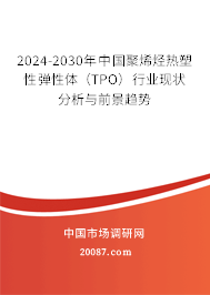2024-2030年中国聚烯烃热塑性弹性体（TPO）行业现状分析与前景趋势