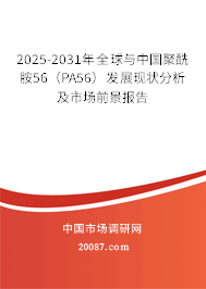 2025-2031年全球与中国聚酰胺56(PA56)发展现状分析及市场前景报告 2025-2031年全球与中国聚酰胺56(PA56)发展现状分析及市场前景报告
