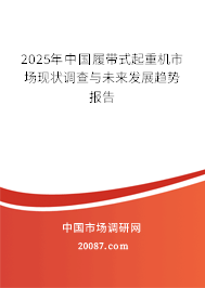 2025年中国履带式起重机市场现状调查与未来发展趋势报告
