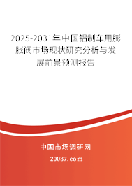 2025-2031年中国铝制车用膨胀阀市场现状研究分析与发展前景预测报告