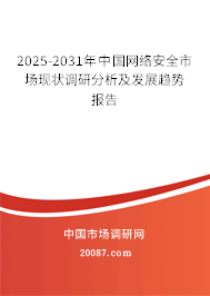 2025-2031年中国网络安全市场现状调研分析及发展趋势报告