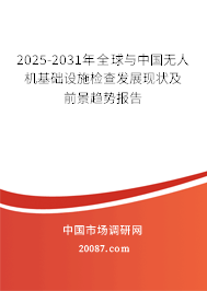 2025-2031年全球与中国无人机基础设施检查发展现状及前景趋势报告